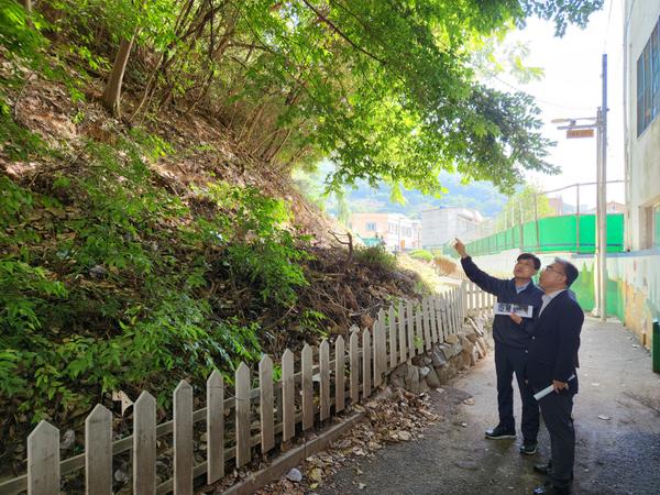 마산회원구 뉴스 | 구청정보 > (마산회원구 산림농정과) 공원녹지내 재해위험목 정비 현장 점검
