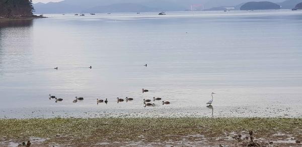 창원특례시, 마산만 수질개선 종합계획 수립 추진