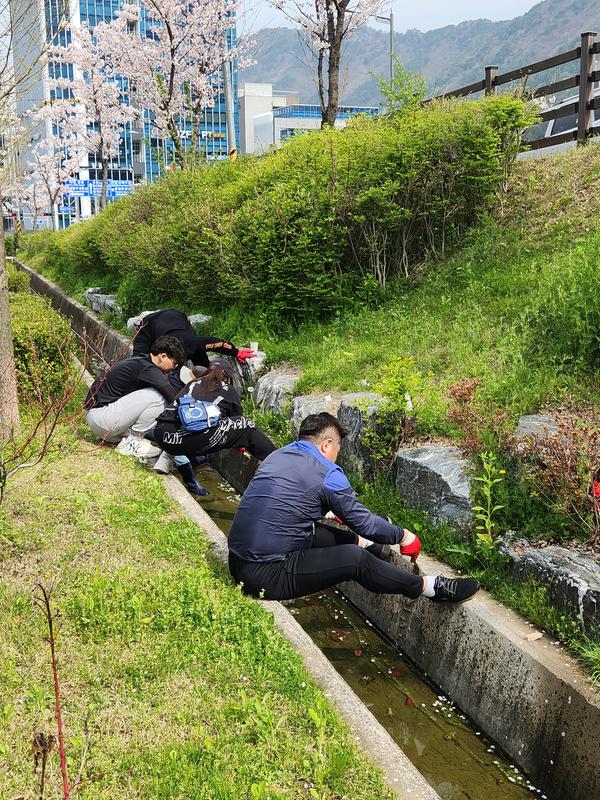 창원특례시, 새끼 두꺼비에게 단비같은 생태사다리 설치창원특례시, 새끼 두꺼비에게 단비같은 생태사다리 설치(환경정책과) (1).jpg