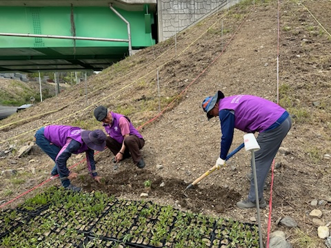 진북면 꽃길거리 조성