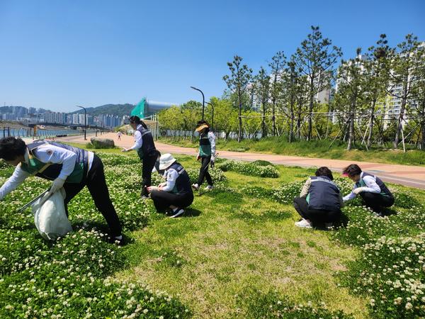 환경정비활동사진