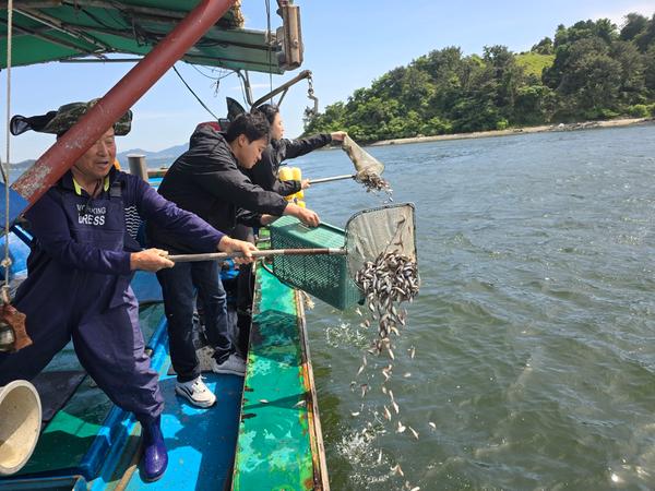 창원특례시, 수산자원조성을 위한 볼락 어린고기 방류창원특례시, 수산자원조성을 위한 볼락 어린고기 방류(수산과) (1).jpeg