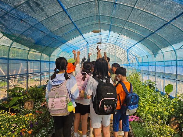 창원특례시, 자연사랑학습장내 생태교육공간 나비체험존 개장창원특례시, 자연사랑학습장내 생태교육공간 나비체험존 개장(환경정책과) (1).jpg