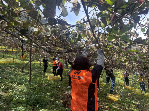 2022. 11. 4. 마산소방서, 가을철 농번기 맞아 농촌 일손돕기 나서