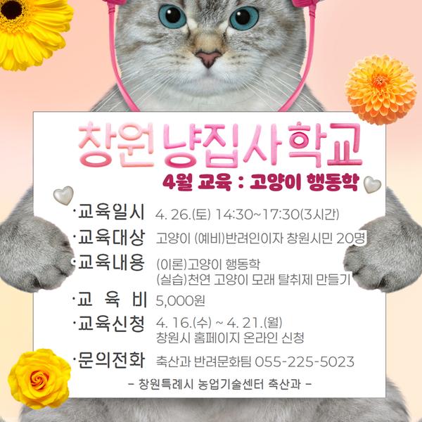 펫빌리지 '창원 냥집사 학교' 4월 교육 : 고양이 행동학