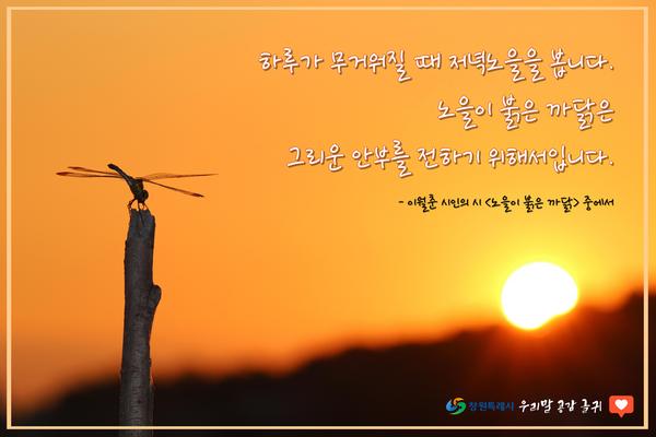 “하루가 무거워질 때 저녁노을을 봅니다. 노을이 붉은 까닭은...”“하루가 무거워질 때 저녁노을을 봅니다. 노을이 붉은 까닭은...”(공보관)_우리말 공감 글귀(9월).jpg