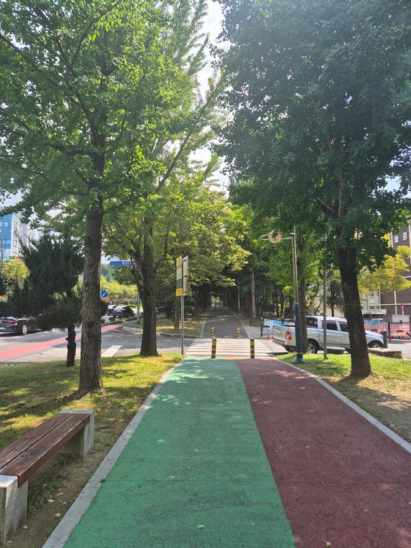 떨어진 은행이 치워져 통행이 편한 보도