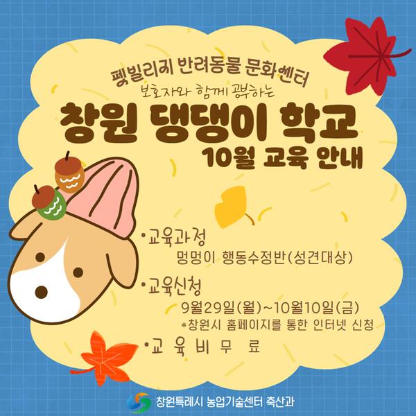펫빌리지 '창원 댕댕이 학교' 멍멍이 행동수정반(성견) 10월 교육 안내