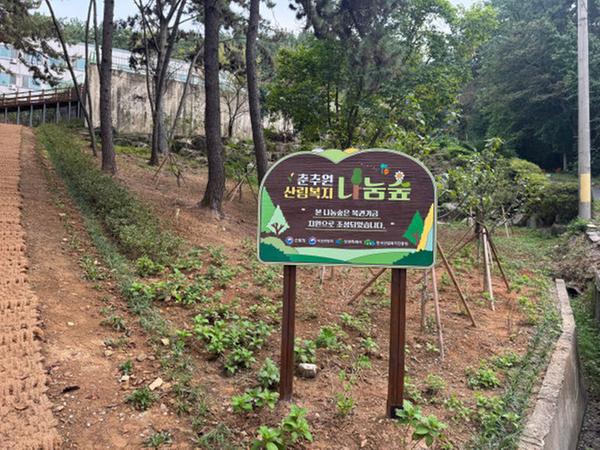 창원특례시, 노인복지시설 춘추원 내 ‘산림복지 나눔숲’ 준공창원특례시, 노인복지시설 춘추원 내‘산림복지 나눔숲’준공(산림휴양과) (1).jpg