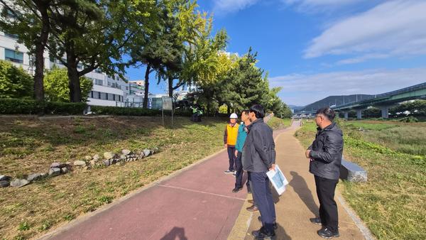 마산회원구, 내서읍 광려천변 소나무 전정 작업 추진 보도내용입니다.