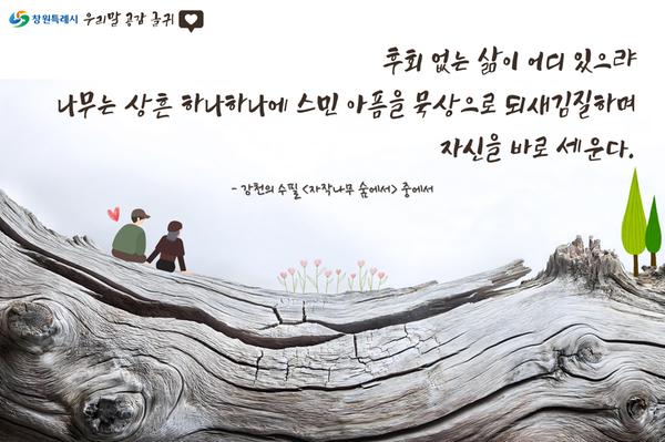 “나무는 상흔 하나하나에 스민 아픔을 묵상으로 되새김질하며...”