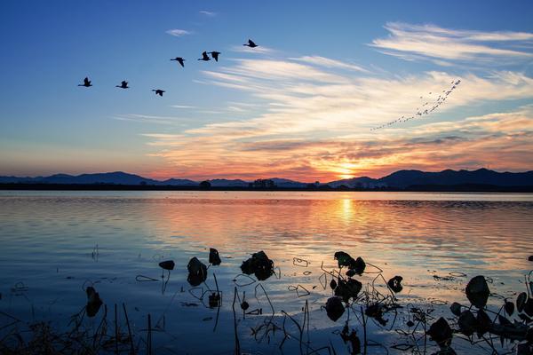 창원 주남저수지 출입통제 해제, 조류인플루엔자 안정세_주남저수지 전경창원 주남저수지 출입통제 해제, 조류인플루엔자 안정세(주남저수지과)(1).jpg