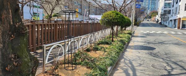 문화동 창원 소하천변 장미 지지대 설치완료 사진