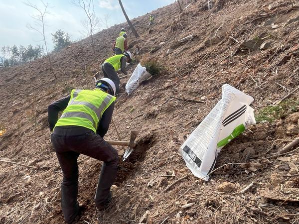조림사업 현장창원특례시, 조림‧숲가꾸기 사업으로 건강한 산림 조성（산림휴양과） (1).jpg
