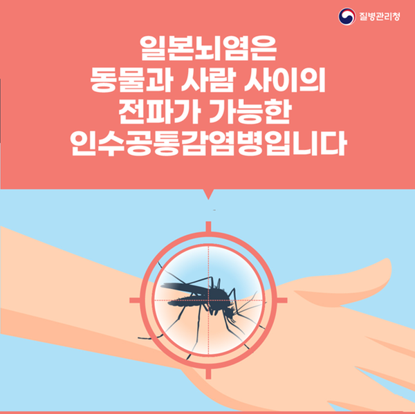 일본뇌염 카드뉴스-1