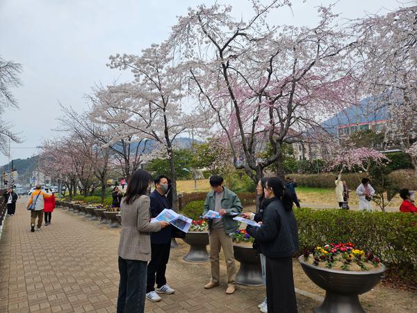 진해군항제 앞두고 불법영업행위 단속 TF팀 현장 사전점검 실시