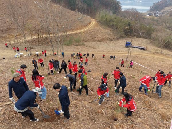 창원특례시, 제81회 식목일 맞이 나무심기행사 개최