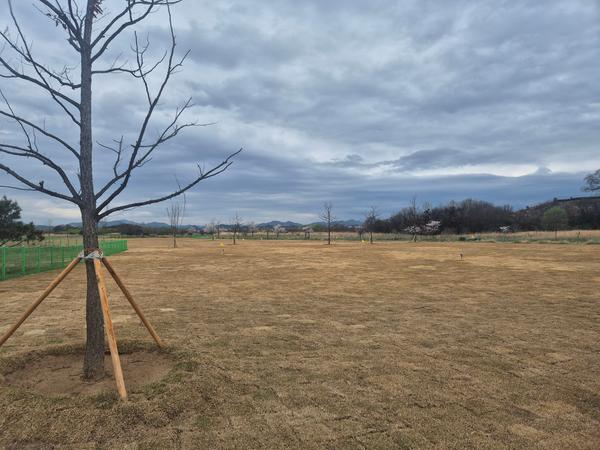대산 파크골프장 교육장 22홀 조성 완료창원특례시, 대산 파크골프장 시설개선공사 완료(시설공사2과).jpg