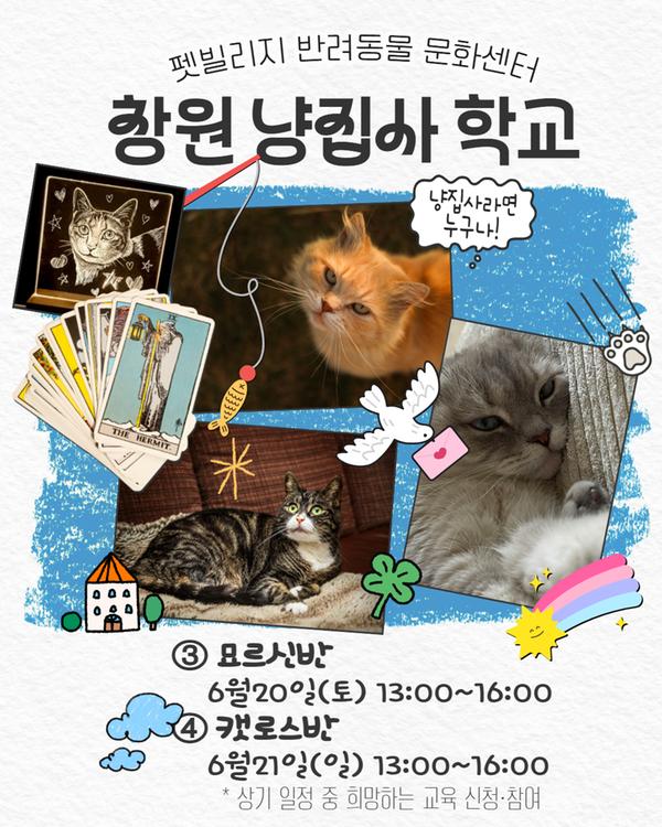 펫빌리지 반려동물 문화센터 창원 냥집사 학교 냥집사라면 누구나! (3)묘르신반 6월20일(토) 13:00~16:00 (4)캣로스반 6월21일(일) 13:00~16:00 *상기교육 일정 중 희망하는 교육 신청 참여