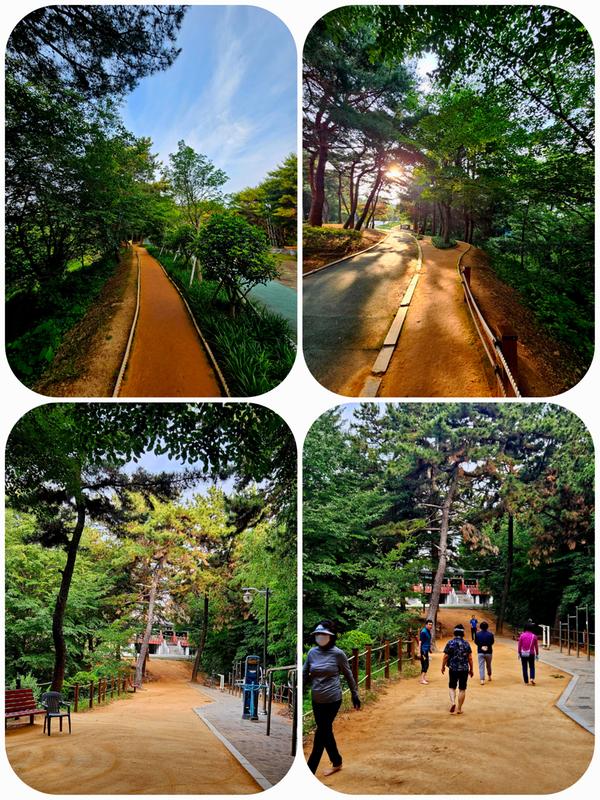 깨끗한 황톳길