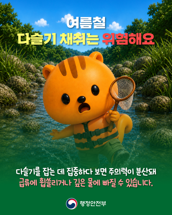 여름철 다슬기 채취는 위험해요 !
