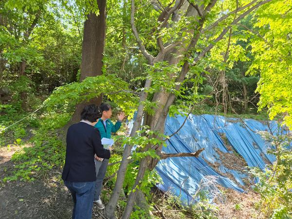 산호공원 재해위험 사면 복구 공사 현장 점검