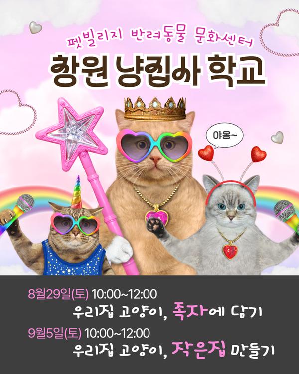 펫빌리지 반려동물 문화센터 창원 냥집사 학교 8월29일(토) 우리집 고양이, 족자에 담기 9월5일(토) 우리집 고양이, 작은집 만들기