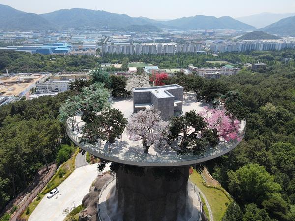 빅트리