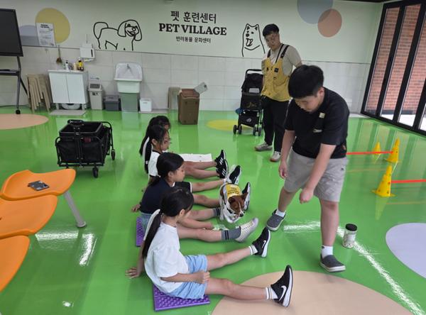 반려동물 진로체험, 법원체험, 키자니아 직업체험 장면