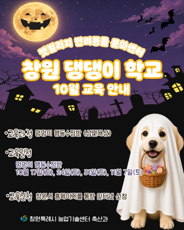 펫빌리지 창원 댕댕이 학교 10월 교육 안내 행동수정반(성견대상) 10월17일(토) 24일(토) 31일(토) 11월7일(토) 창원시 홈페이지를 통한 인터넷 신청