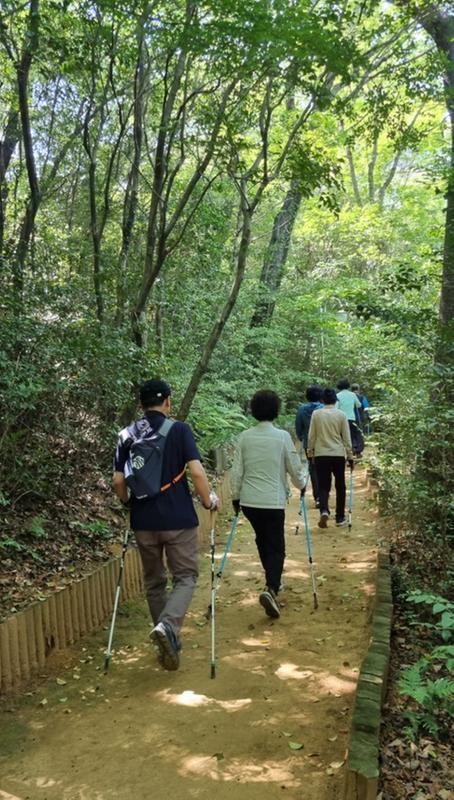 지난 편백치유의 숲 프로그램 운영 사진