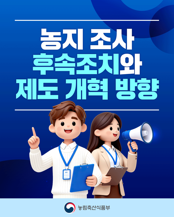 카드뉴스