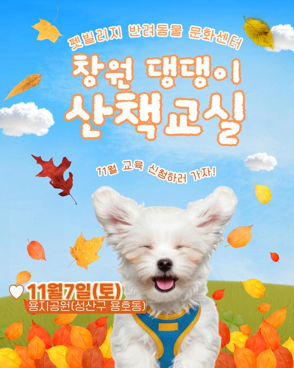 펫빌리지 반려동물 문화센터 창원 댕댕이 산책교실 11월 교육 신청하러 가자! 11월7일(토) 용지공원