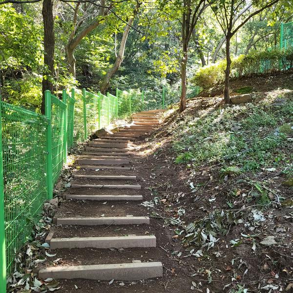 창원특례시, 자연과 어우러지는 장천체육공원 산책로 정비 창원특례시, 자연과 어우러지는 장천체육공원 산책로 정비 (1).jpg