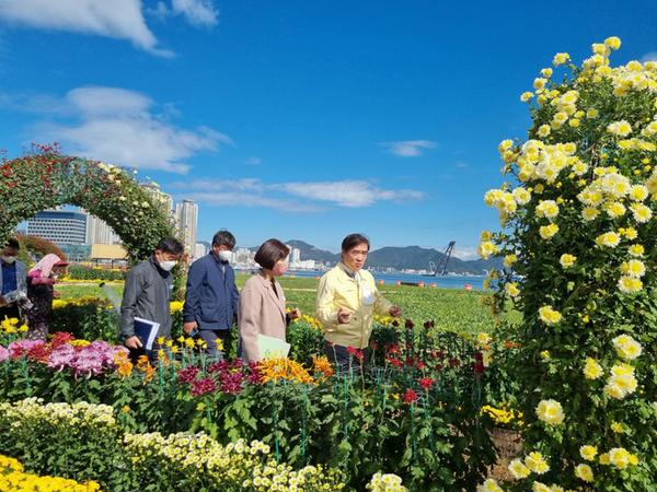 창원특례시,&lsquo;제22회 마산국화축제&rsquo;D-3, 준비에 막바지 총력 창원특례시,‘제22회 마산국화축제’D-3, 준비에 막바지 총력 (1).jpg