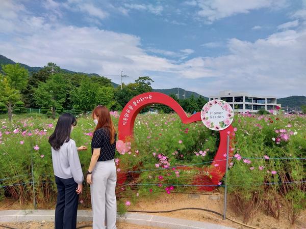 창원특례시 하수도사업소, 17일부터 &lsquo;덕동맑은물 플라워가든&rsquo; 개방 창원특례시 하수도사업소, 17일부터 ‘덕동맑은물 플라워가든’ 개방 (하수행정과) (2).jpg