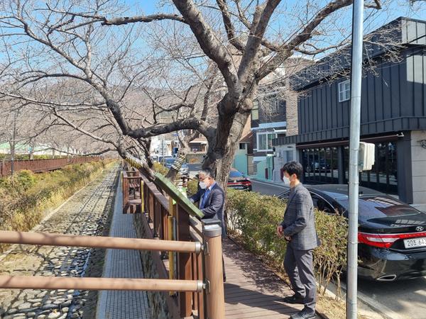 창원시, 진해 벚꽃 상춘객 방문 대비 추진사항 점검
