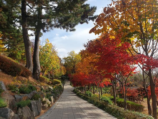 창원시 &ldquo;단풍, 낙엽으로 물든 창원수목원서 가을 만끽하세요&rdquo;창원시 “단풍, 낙엽으로 물든 창원수목원서 가을 만끽하세요” (산림휴양과) (1).jpg