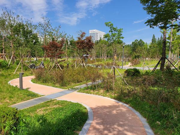 창원시, 그린뉴딜사업(도시숲) 국&middot;도비 35억 확보.창원시, 그린뉴딜사업(도시숲) 국·도비 35억 확보.jpg