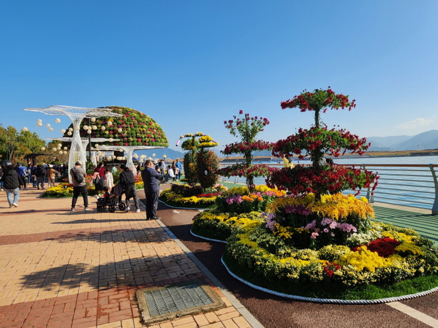 제25회 마산가고파국화축제 11월 1~9일 3ㆍ15해양누리공원, 합포수변공원서 개최
