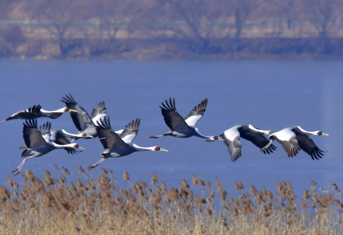 주남저수지, 철새 보호ㆍ조류인플루엔자 확산 방지 총력 다한다