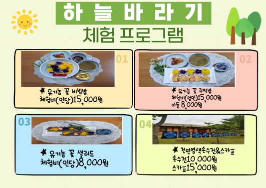 하늘바라기