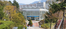 선인장 온실