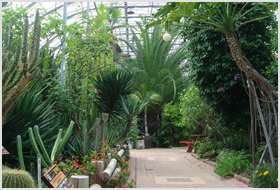 야열대식물원·가정원예전시실