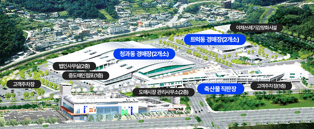 내서도매시장-12시부터 시계방향으로 : 청과동 경매장(2개소), 트럭동 경매장(2개소), 야채쓰레기감량화시설, 고객주차장(1층), 축산물 직판장, 도매시장 관리사무소(2층), 고객주차장, 중도매인점포(1층),법인사무실(2층)