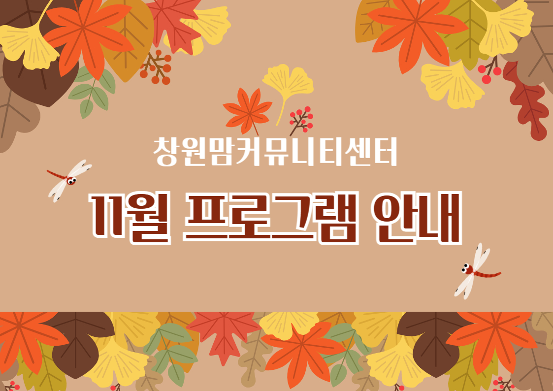 11월 프로그램 안내