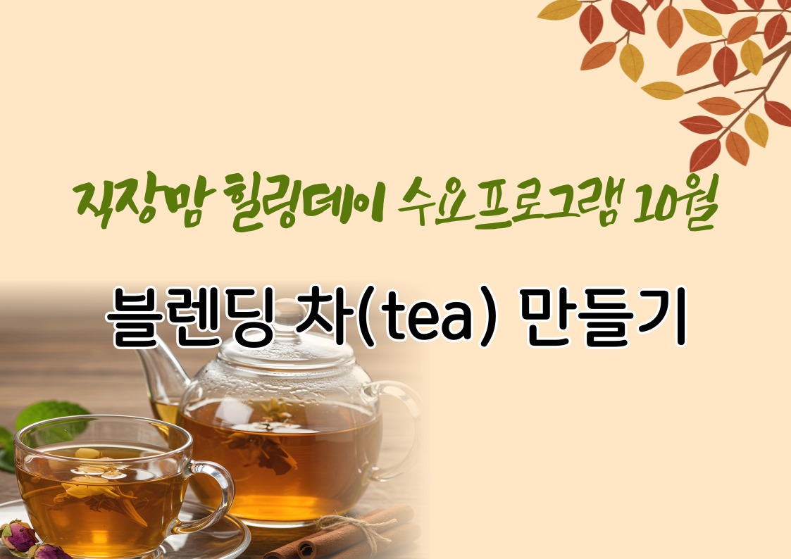 프로그램 이미지