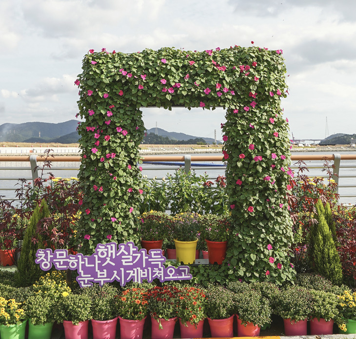 마산가고파국화축제